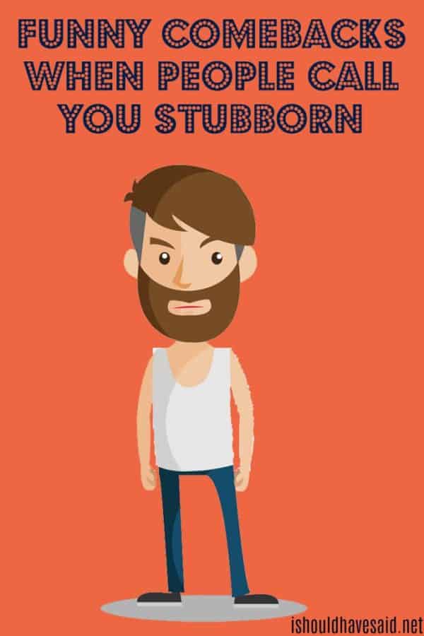 funny-things-to-say-when-someone-calls-you-stubborn-i-should-have-said