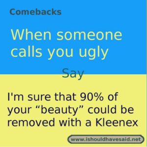 comebacks when someone calls you ugly