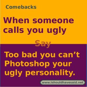 comebacks when someone calls you ugly two small