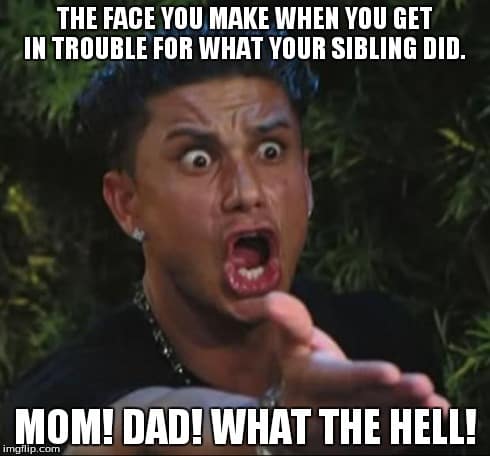Funny meme when your parents always blame you for stuff your sibling did
