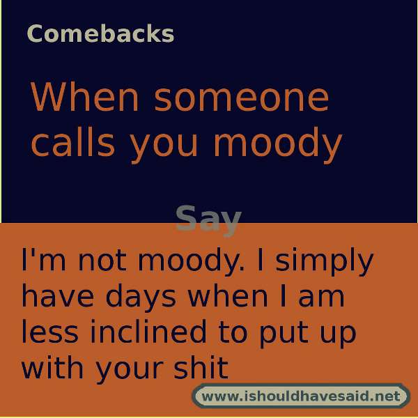 Use these snappy comebacks when someone calls you moody. Check out our top ten comeback lists. https://ishouldhavesaid.net