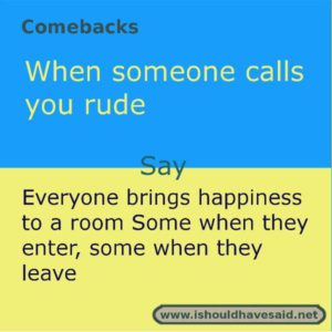 comebacks roasts insults bullies sarcastic rude comeback haters combacks snappy sarcasm ishouldhavesaid witty sassy borsaendeks