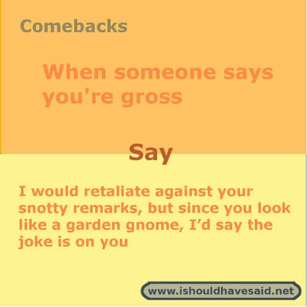 Use our great comebacks if someone calls you gross. Check out our top ten comeback lists. www.ishouldhavesaid.net.