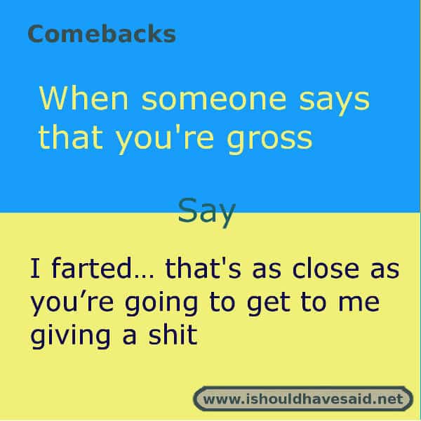 Use our great comebacks if someone calls you gross. Check out our top ten comeback lists. www.ishouldhavesaid.net.