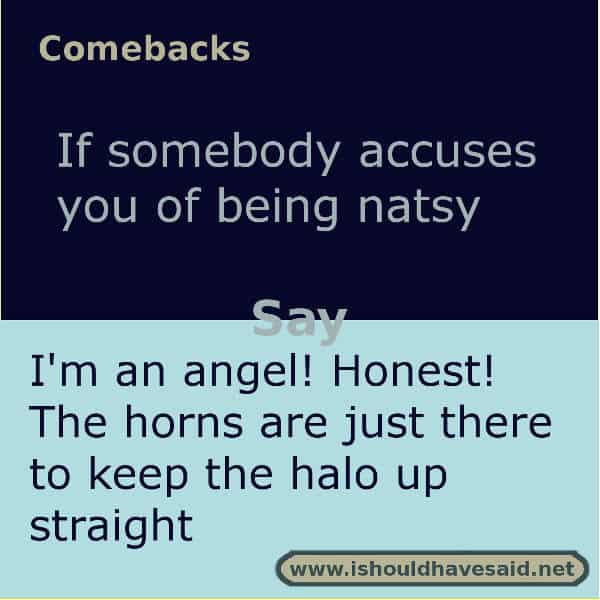 Use our clever comebacks if someone calls you nasty. Check out our top ten comeback lists. www.ishouldhavesaid.net.