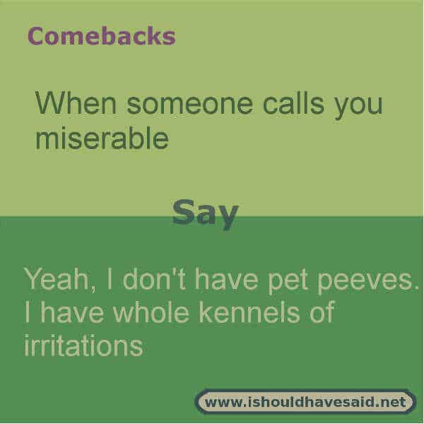 When people call you miserable use one of our clever comebacks. Check out our top ten comeback lists. www.ishouldhavesaid.net.