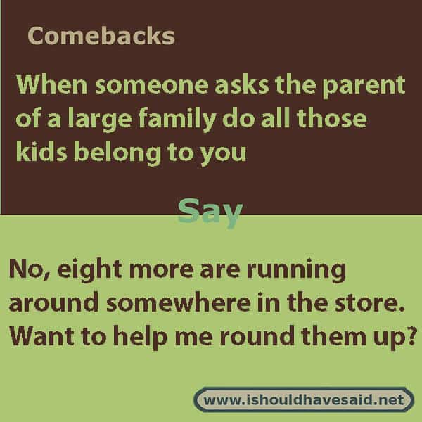 ALT Text What to say if someone asks if all of the children with you belong to you, use one of our clever comebacks. Check out our parenting comebacks www.ishouldhavesaid.net.