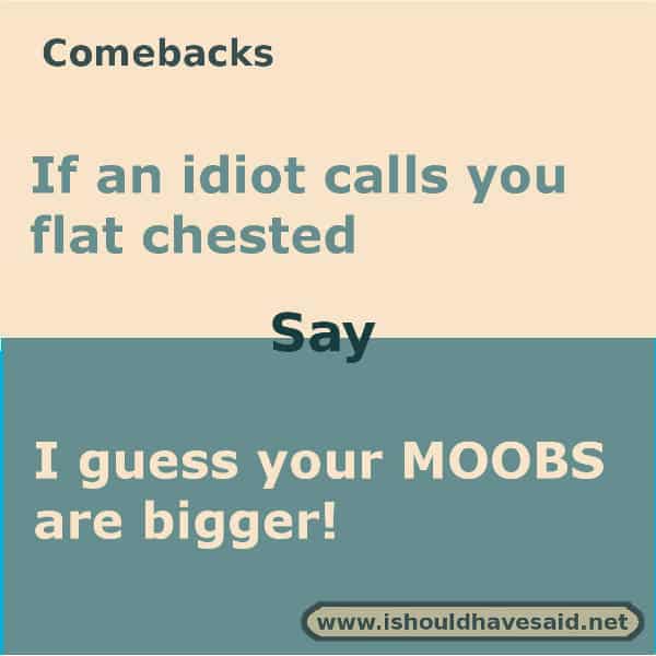 What to say if someone calls you flat chested, use one of our clever comebacks. Check out our top ten lists www.ishouldhavesaid.net.