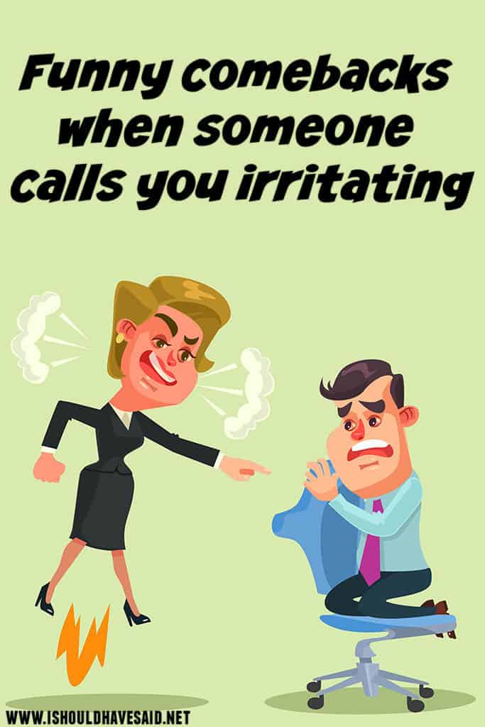 best insults for people who call you irritating | I should have said